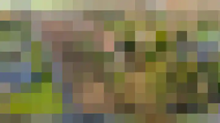 Alendorperweg 69 Vleuten thumbnail 9