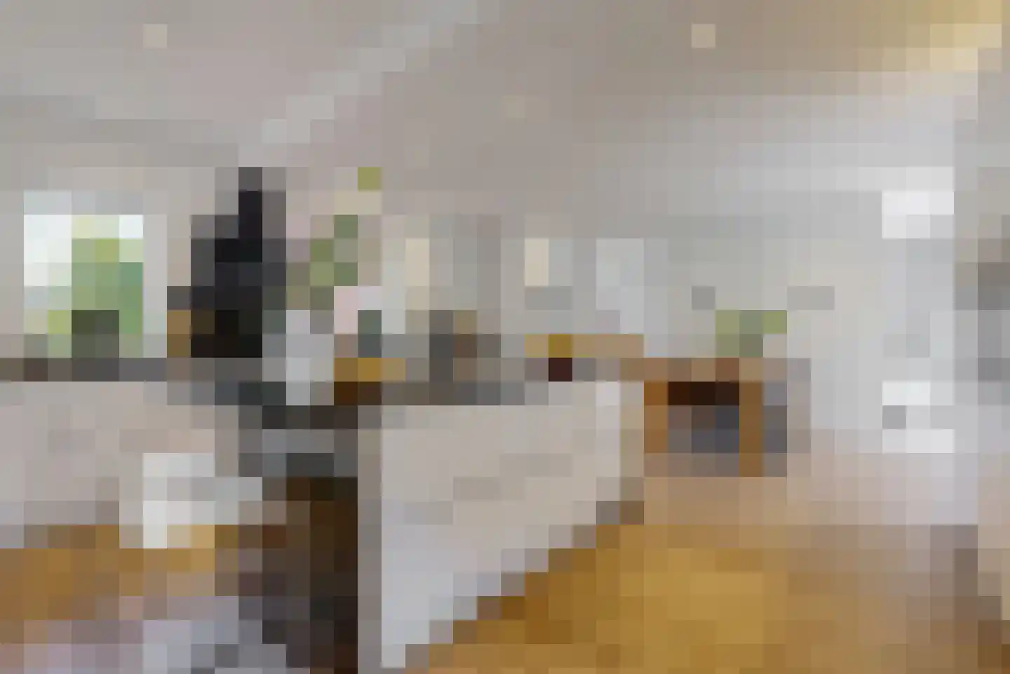 Alendorperweg 79 Vleuten thumbnail 12