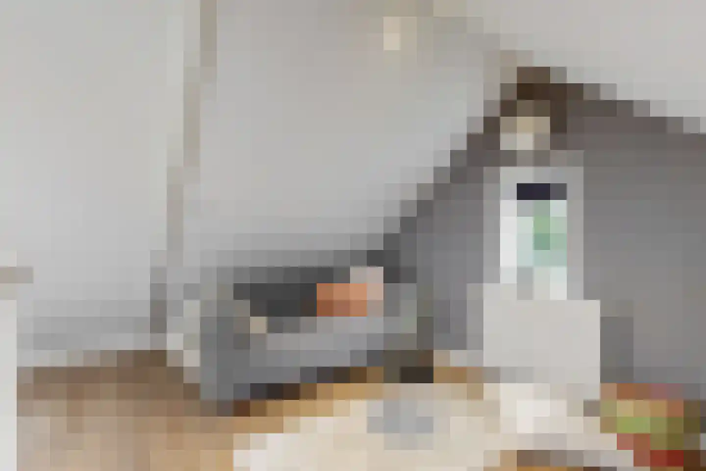 Alendorperweg 79 Vleuten thumbnail 28