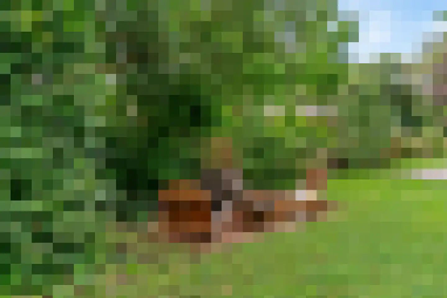 Alendorperweg 79 Vleuten thumbnail 37