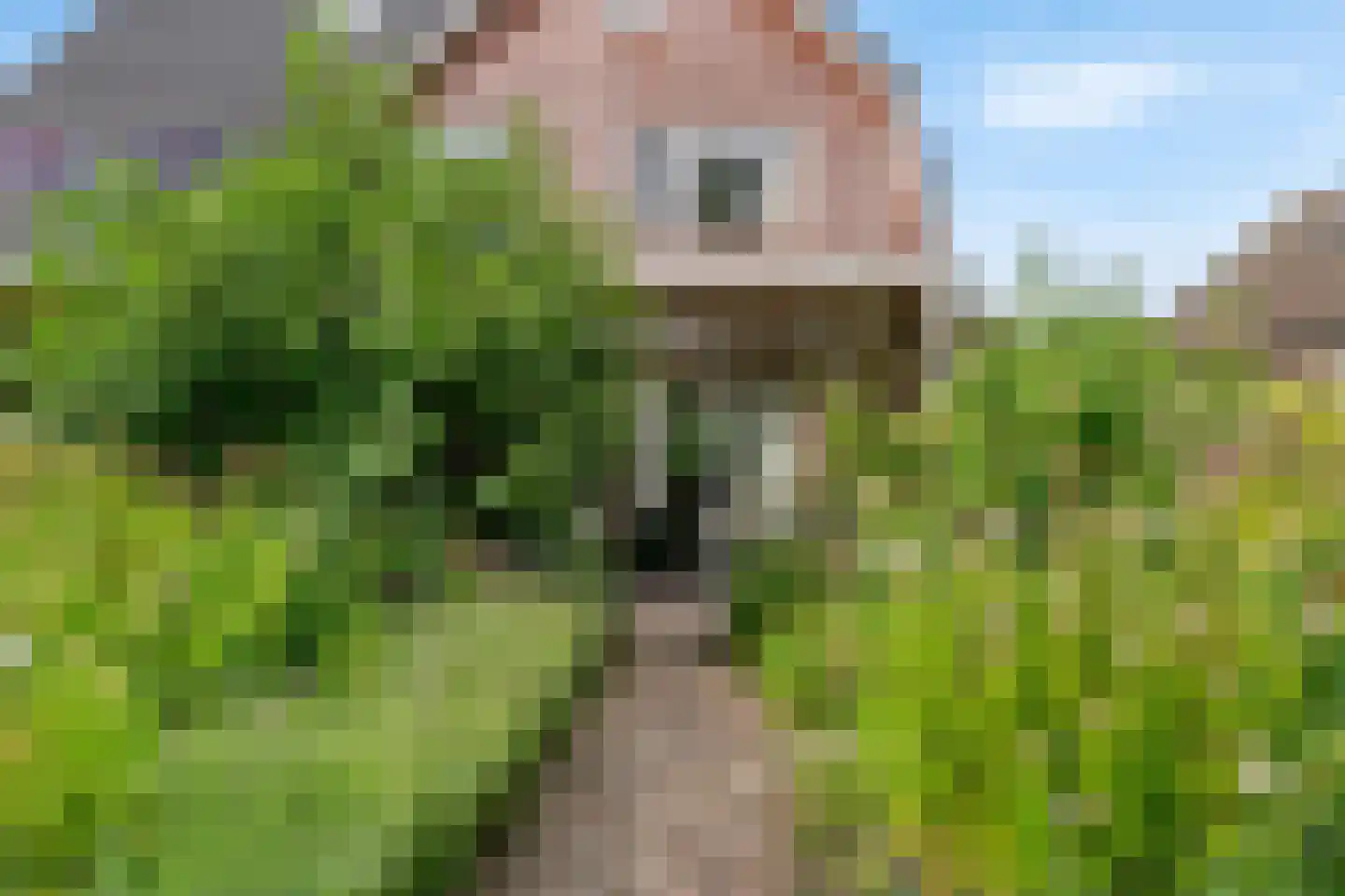 Alendorperweg 79 Vleuten thumbnail 38