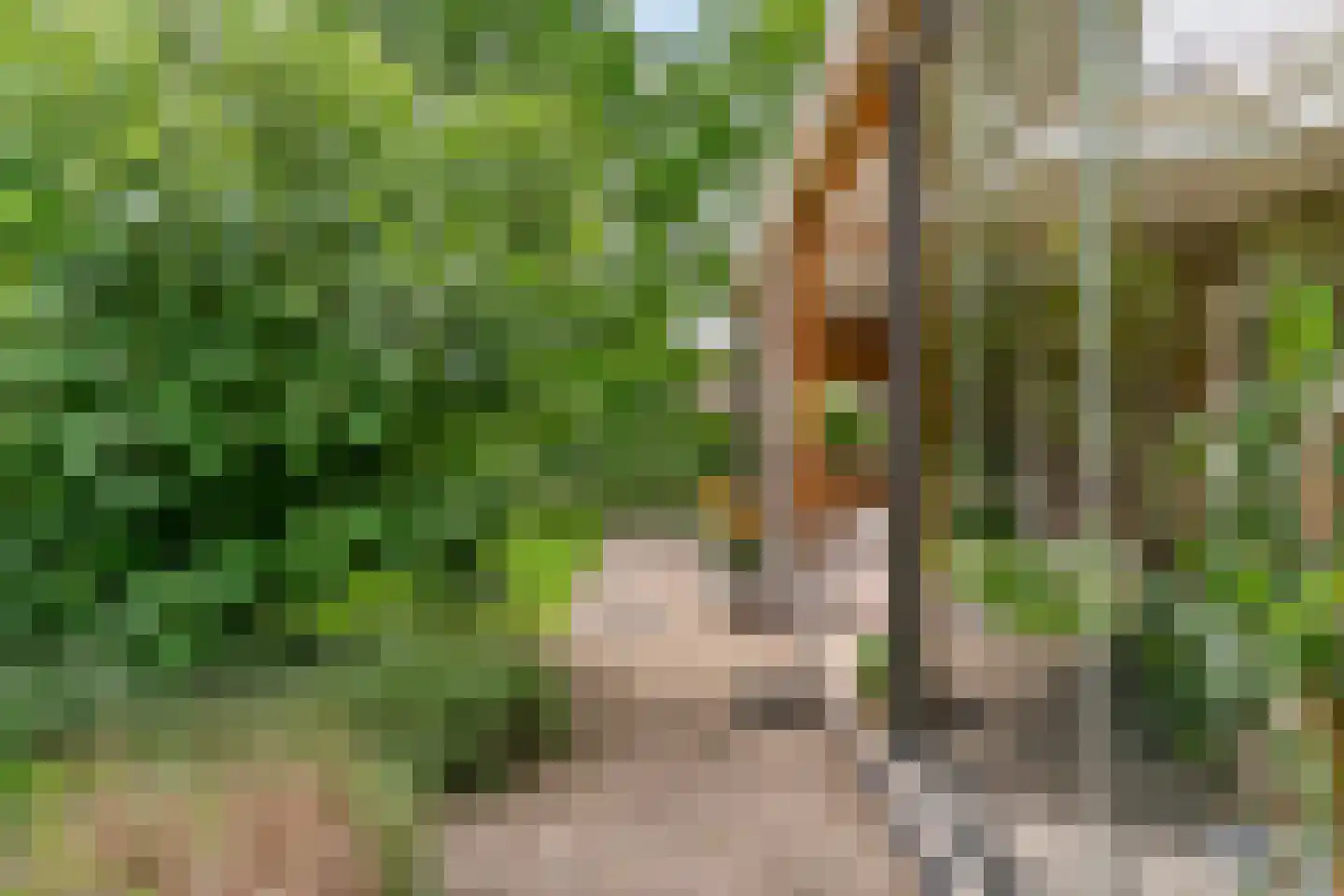 Alendorperweg 79 Vleuten thumbnail 39