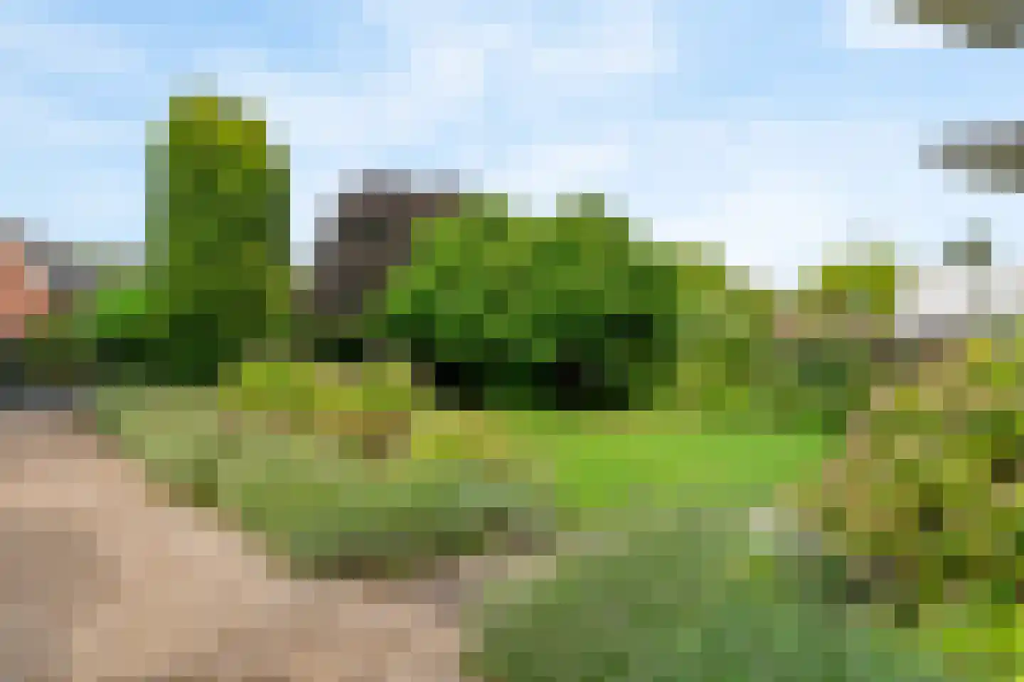 Alendorperweg 79 Vleuten thumbnail 40