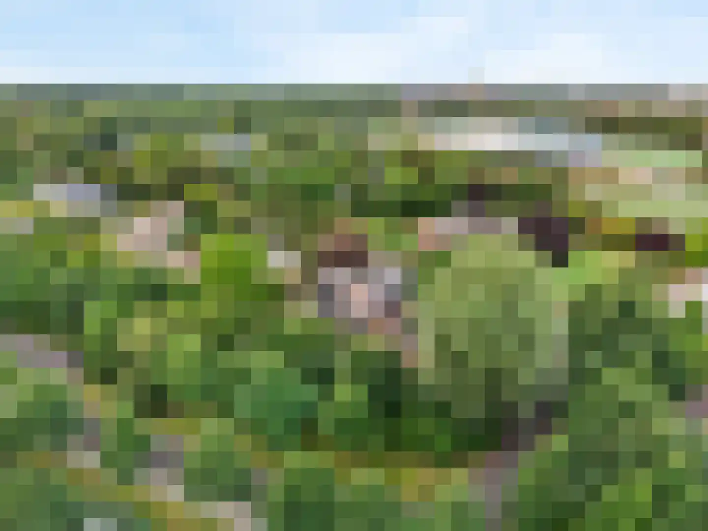 Alendorperweg 79 Vleuten thumbnail 41