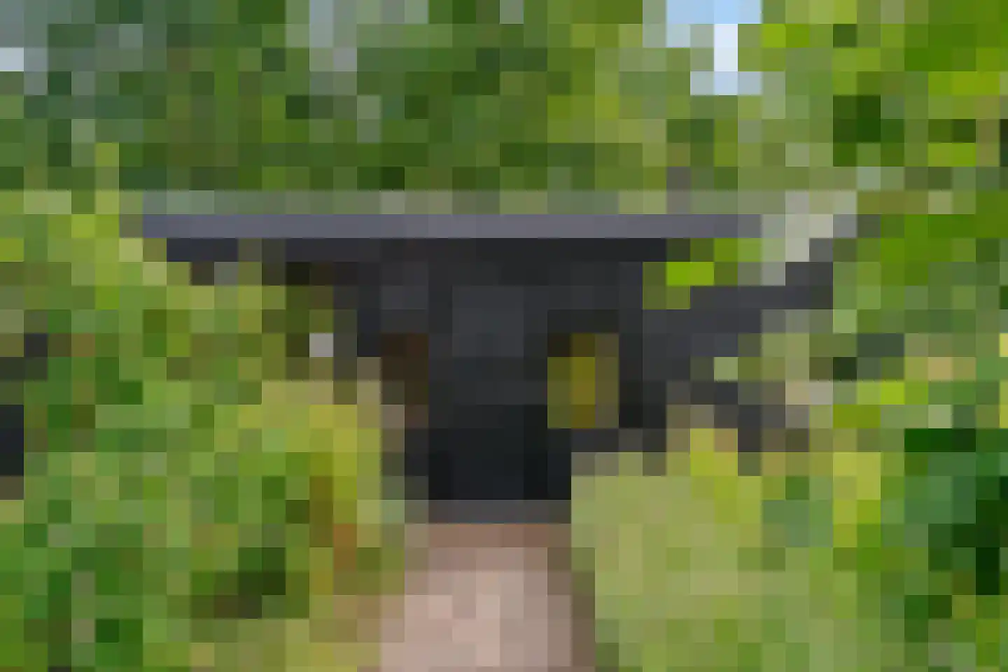 Alendorperweg 79 Vleuten thumbnail 42