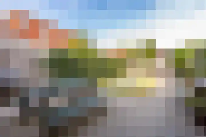 Alendorperweg 80 Utrecht thumbnail 19