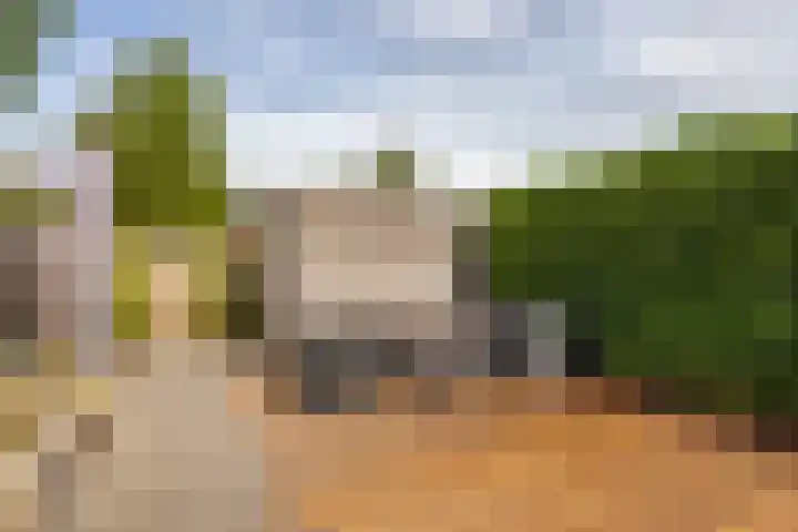 Alendorperweg 80 Utrecht thumbnail 21
