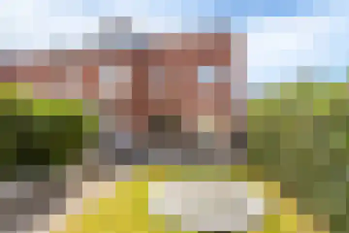 Alendorperweg 80 Utrecht thumbnail 22
