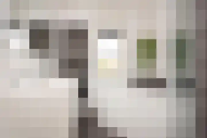 Alendorperweg 80 Utrecht thumbnail 36