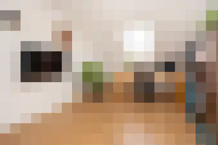 Alendorperweg 80 Utrecht thumbnail 43