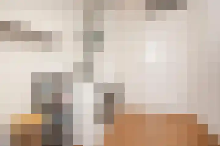 Alendorperweg 80 Utrecht thumbnail 47