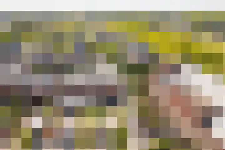 Alendorperweg 80 Utrecht thumbnail 5