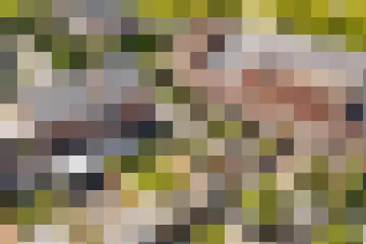 Alendorperweg 80 Utrecht thumbnail 50