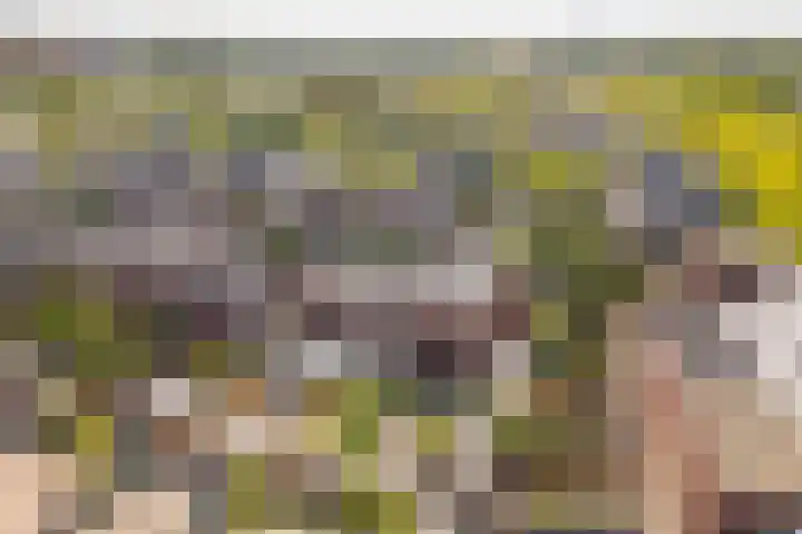 Alendorperweg 80 Utrecht thumbnail 51