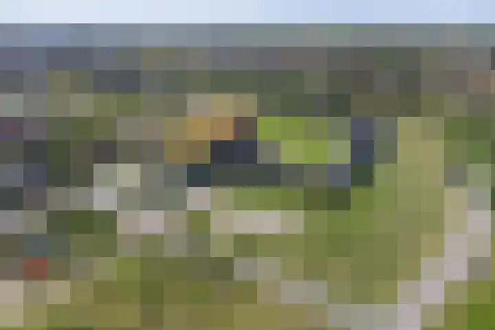 Alendorperweg 80 Utrecht thumbnail 54