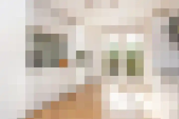 Alendorperweg 80 Utrecht thumbnail 9