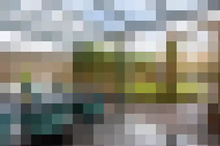 Alendorperweg 92 Utrecht thumbnail 10
