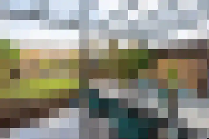 Alendorperweg 92 Utrecht thumbnail 11