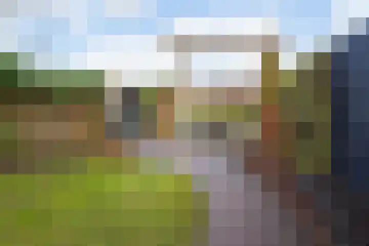 Alendorperweg 92 Utrecht thumbnail 12