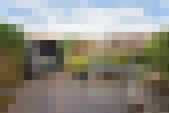 Alendorperweg 92 Utrecht thumbnail 14