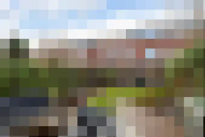 Alendorperweg 92 Utrecht thumbnail 15