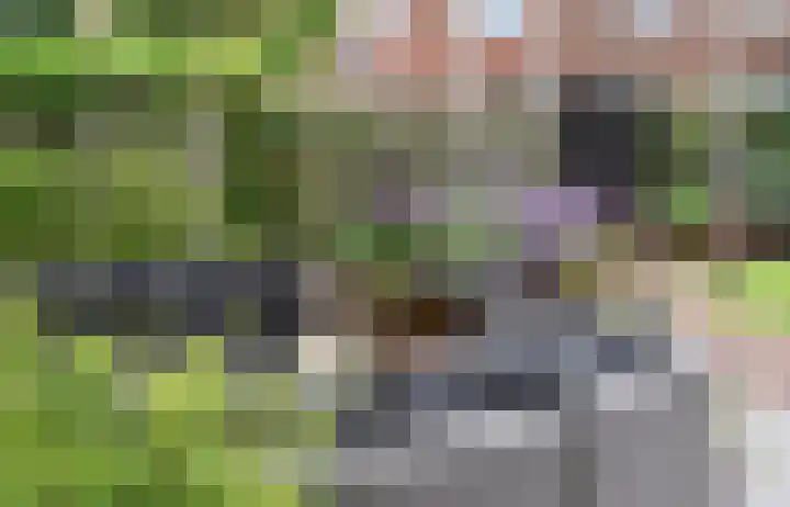 Alendorperweg 92 Utrecht thumbnail 17