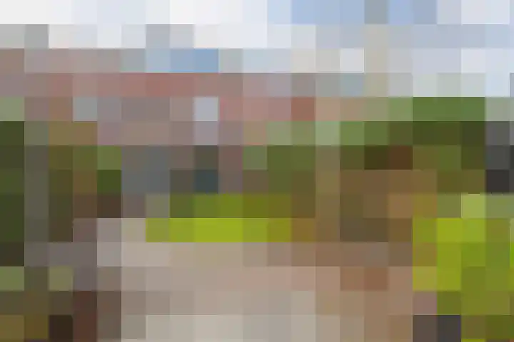 Alendorperweg 92 Utrecht thumbnail 18
