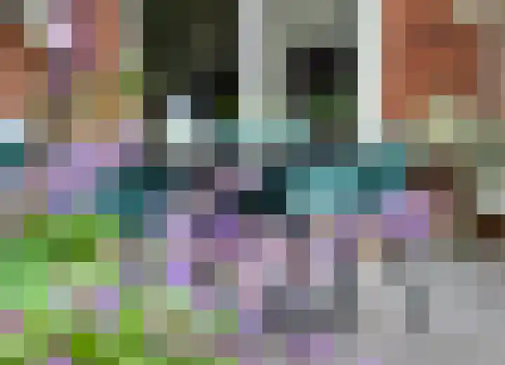 Alendorperweg 92 Utrecht thumbnail 19