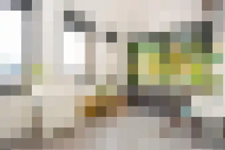 Alendorperweg 92 Utrecht thumbnail 37