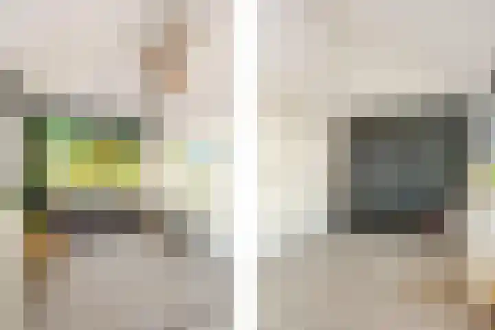 Alendorperweg 92 Utrecht thumbnail 38
