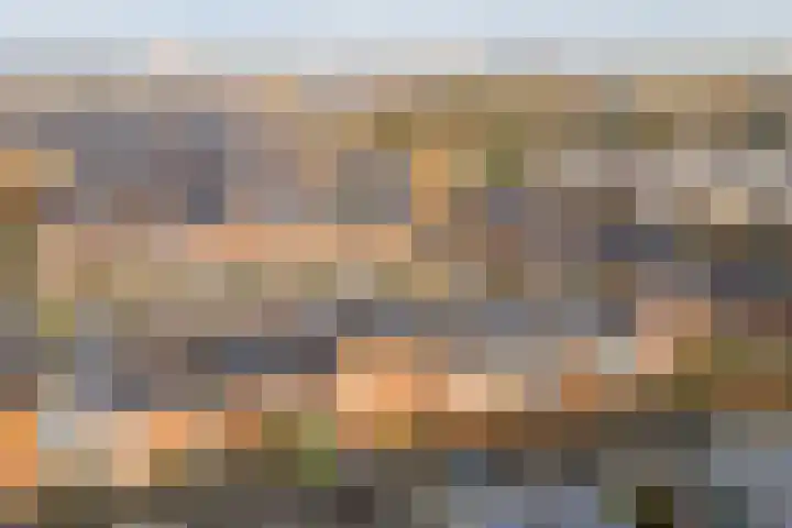 Alendorperweg 92 Utrecht thumbnail 51