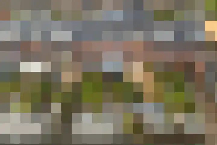 Alendorperweg 92 Utrecht thumbnail 53