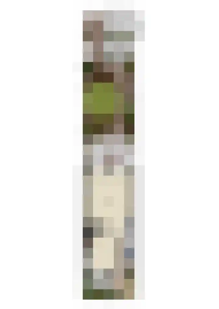 Alendorperweg 92 Utrecht thumbnail 58