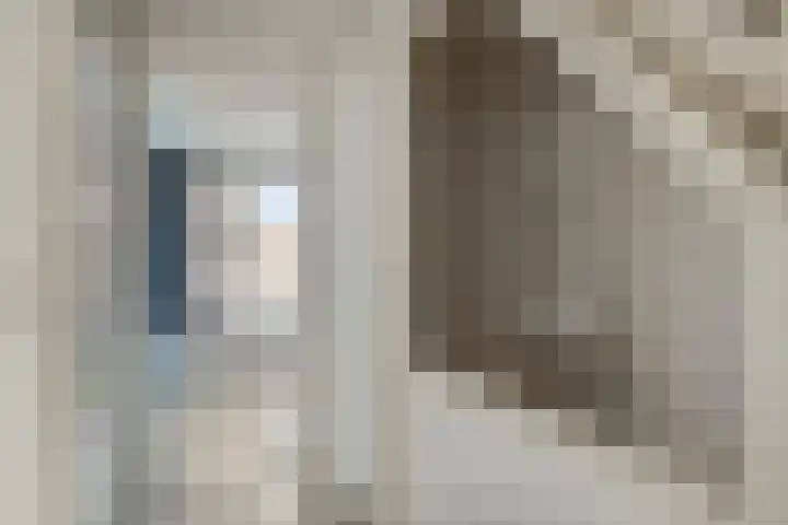 Aleoeten 30 Capelle aan den IJssel thumbnail 12