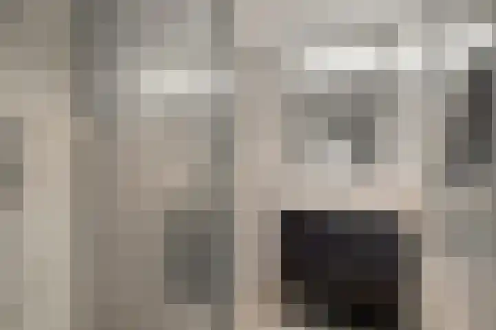 Aleoeten 30 Capelle aan den IJssel thumbnail 17