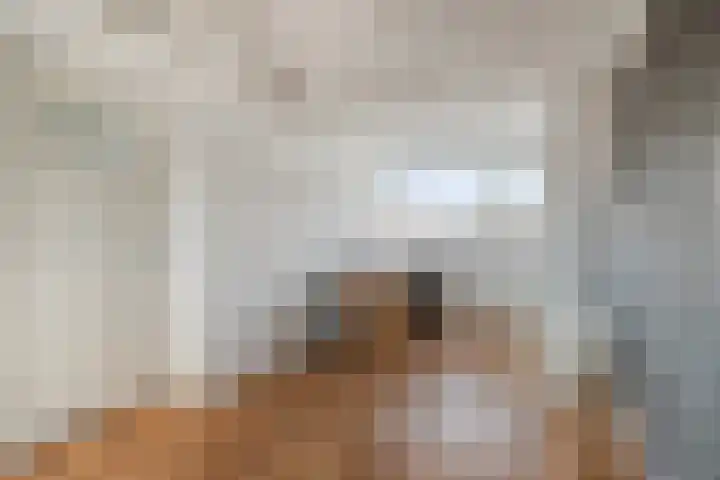 Aleoeten 30 Capelle aan den IJssel thumbnail 21