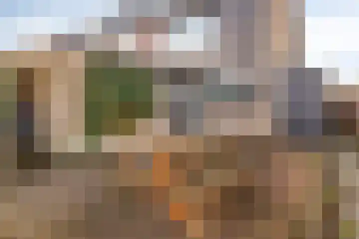 Aleoeten 30 Capelle aan den IJssel thumbnail 24