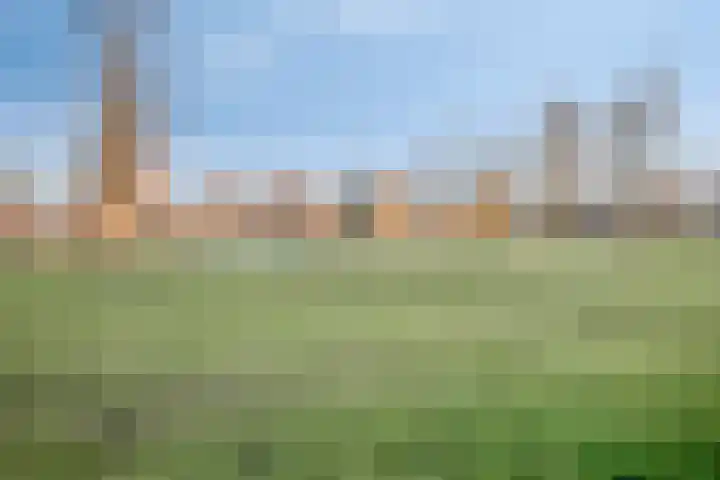 Aleoeten 30 Capelle aan den IJssel thumbnail 28