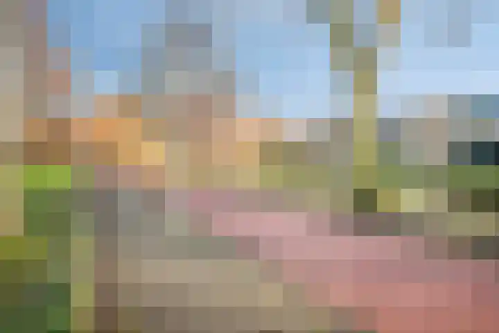 Aleoeten 30 Capelle aan den IJssel thumbnail 29