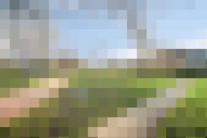 Aleoeten 30 Capelle aan den IJssel thumbnail 30