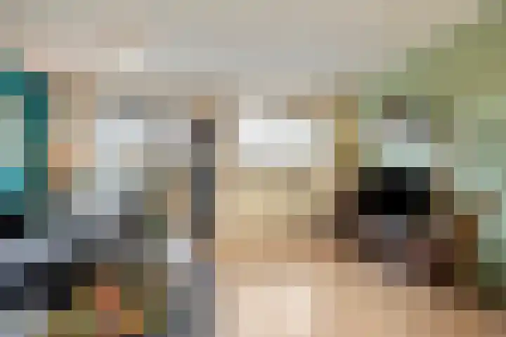 Alerdincksingel 103 Rotterdam thumbnail 13