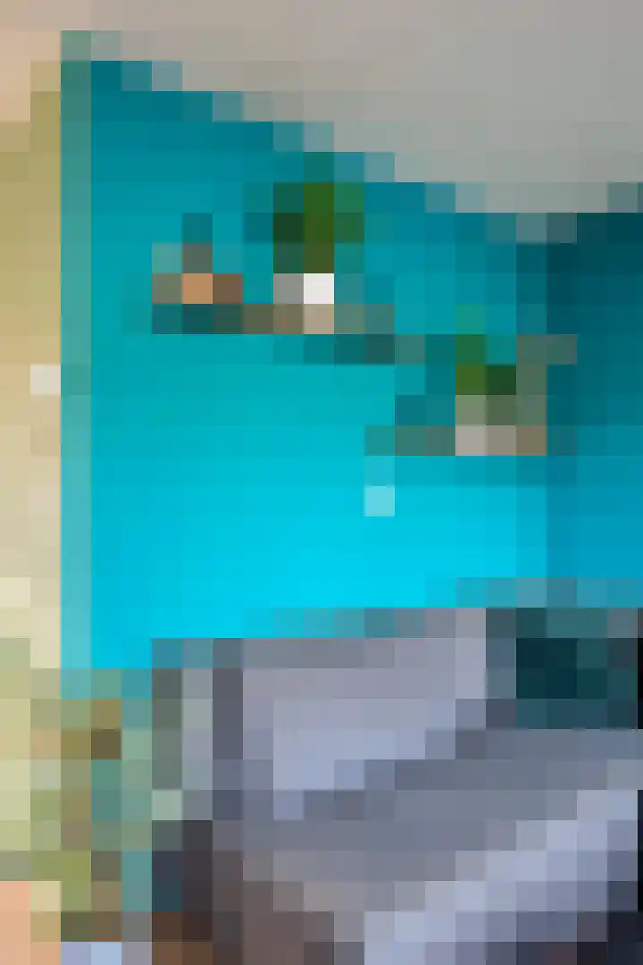 Alerdincksingel 103 Rotterdam thumbnail 18