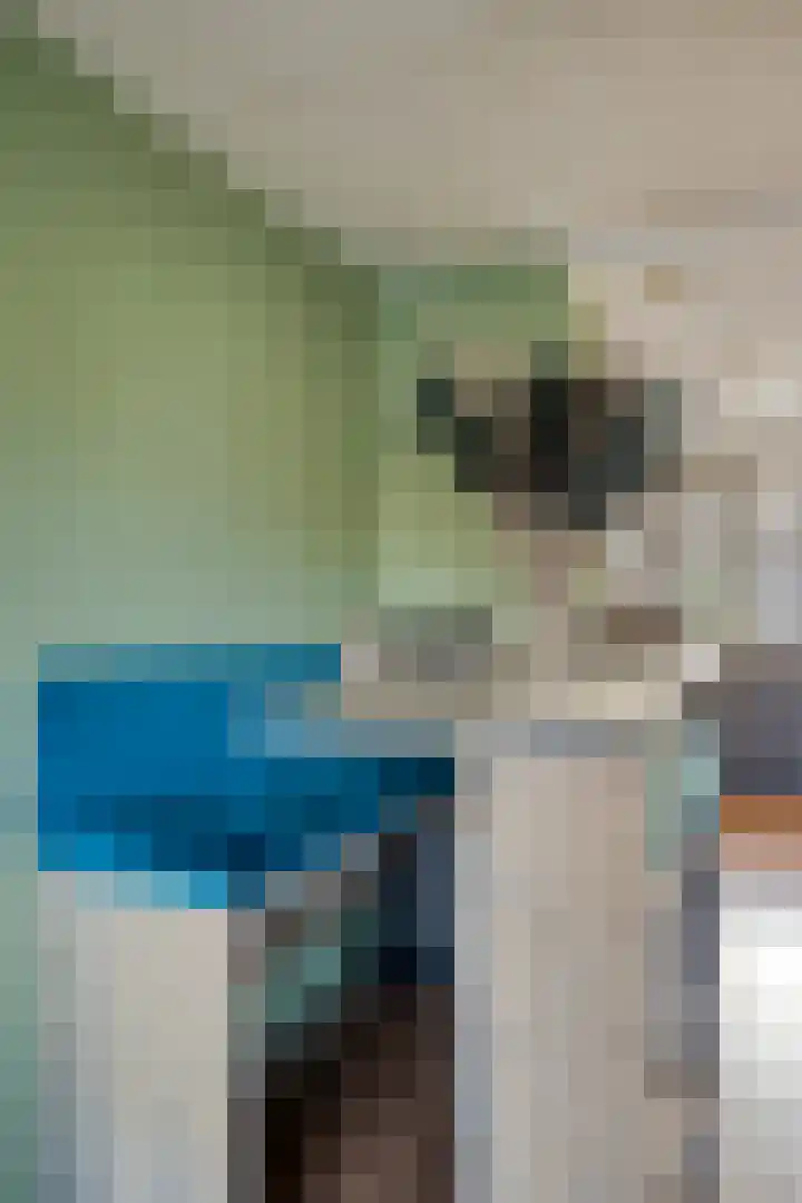 Alerdincksingel 103 Rotterdam thumbnail 19