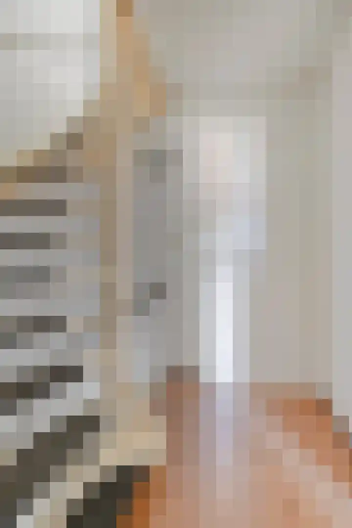 Alerdincksingel 103 Rotterdam thumbnail 21