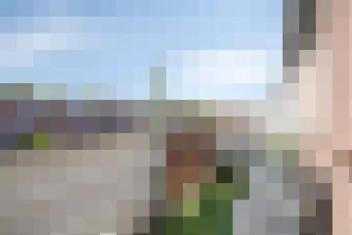 Alerdincksingel 103 Rotterdam thumbnail 22