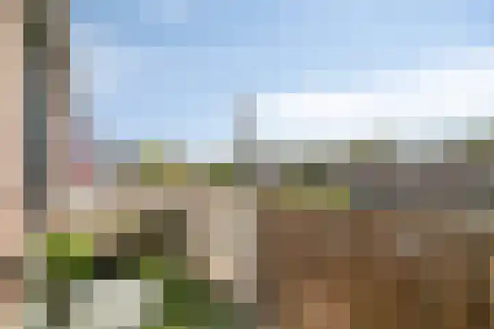 Alerdincksingel 103 Rotterdam thumbnail 23
