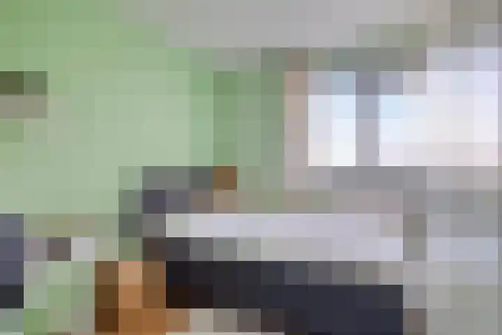 Alerdincksingel 103 Rotterdam thumbnail 32