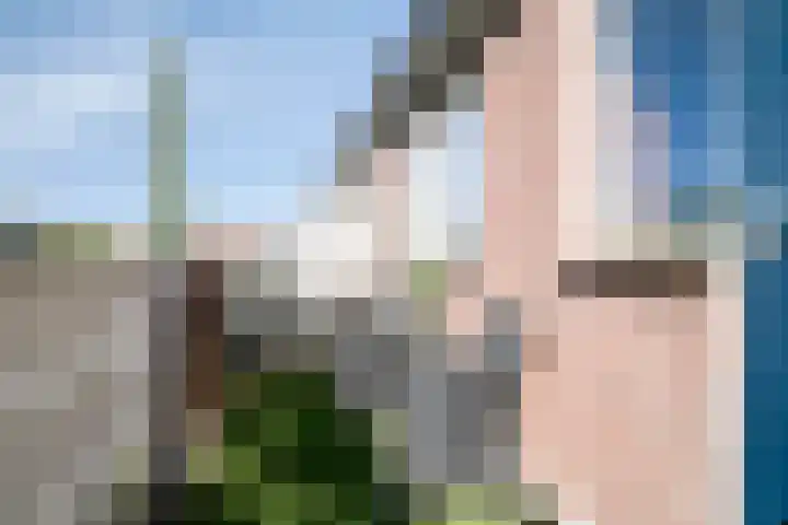 Alerdincksingel 103 Rotterdam thumbnail 4