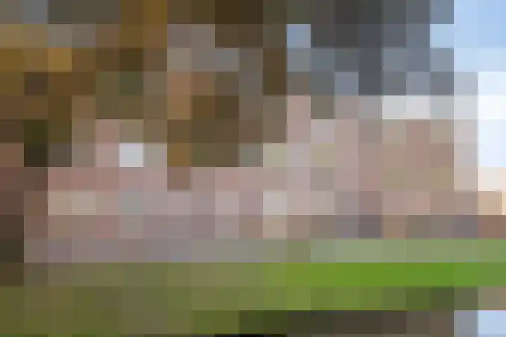 Alerdincksingel 103 Rotterdam thumbnail 6