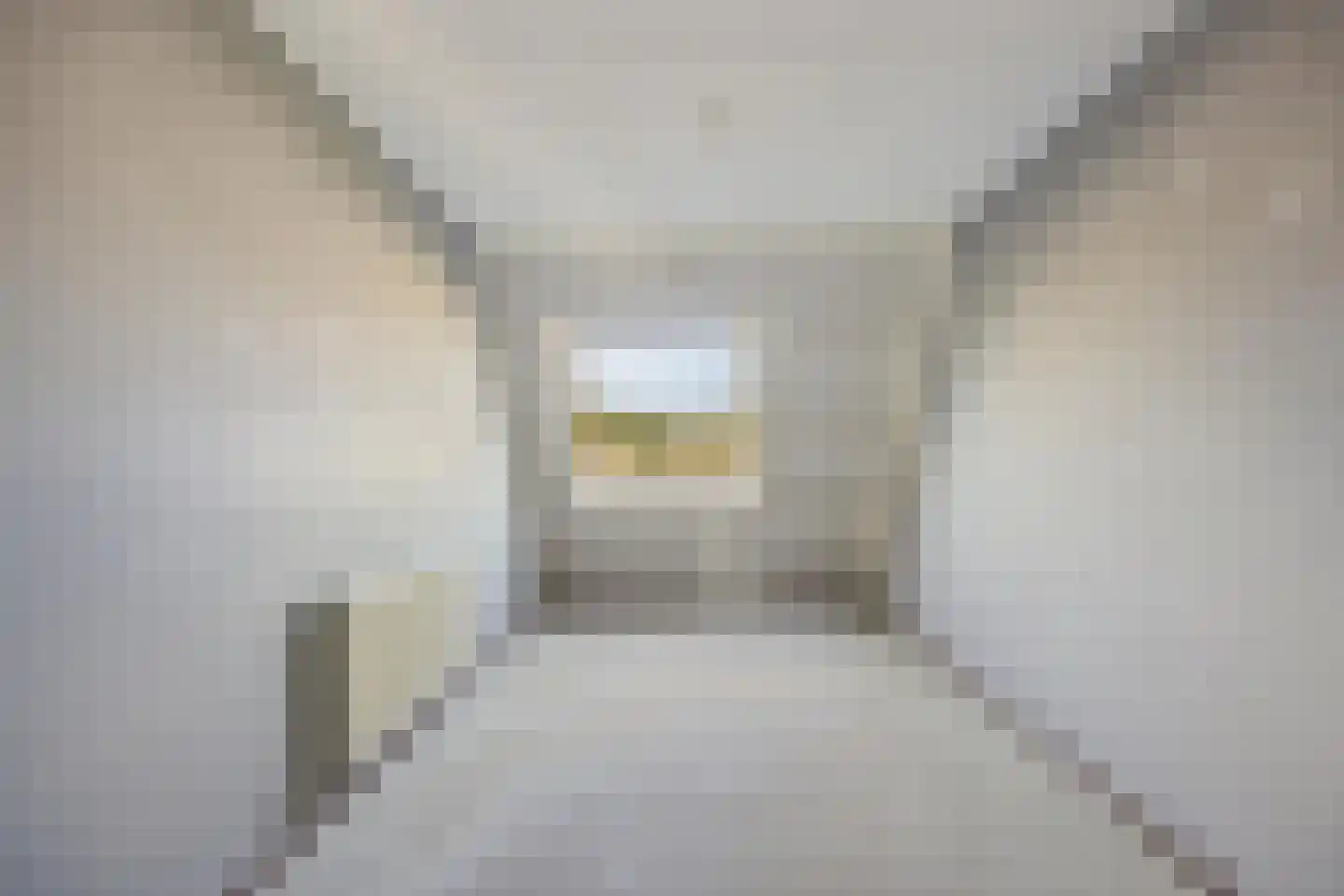 Alerdincksingel 127 Rotterdam thumbnail 17